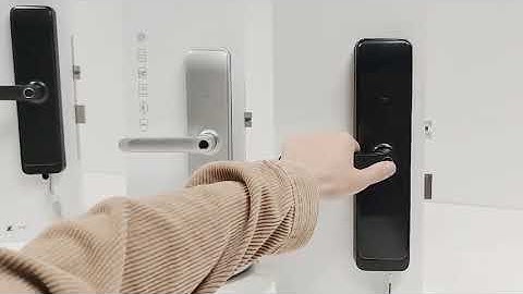 Liliwise Smart Locks H35B Features Display video