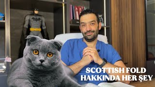 Scottish Fold Kedi̇ler Sevi̇mli̇ Ama Ri̇skli̇ Mi̇? Veteriner Hekim Anlatıyor
