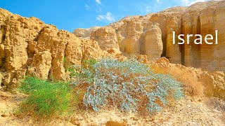 JUDEAN DESERT. Descent to The Dead Sea Along the Dry River Zohar