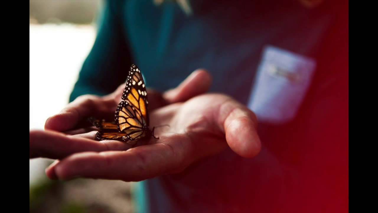 оленибитс why love ends YouTube