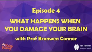 Episode 4: What happens when you damage your brain | The Being Brainy Lab