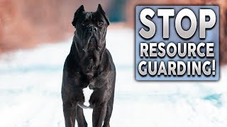 How To STOP Dogs Resource Guarding!