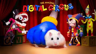 Hamster Adventures In The Digital Circus 🤡 Live Stream