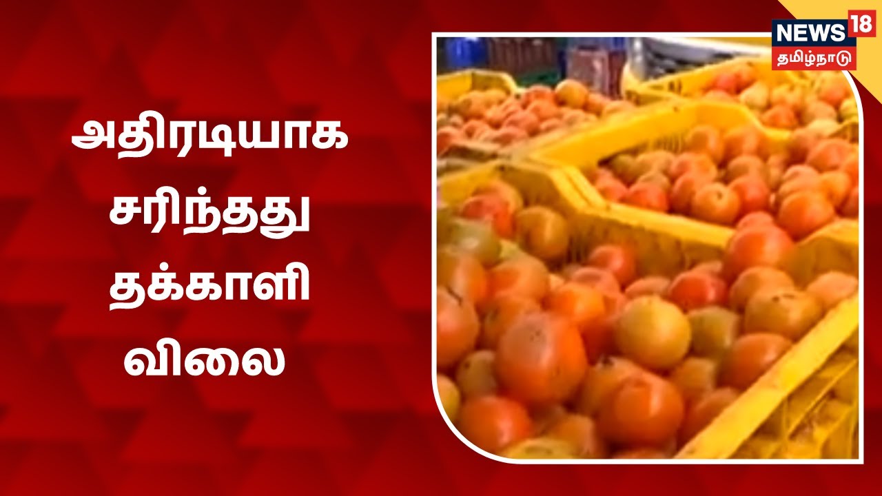 Koyambedu Market Tomato Price Today தக்காளி விலை அதிரடியாக சரிவு 1