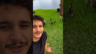 Celebrity My first 100 subscribers 🎊 #shorts Profile