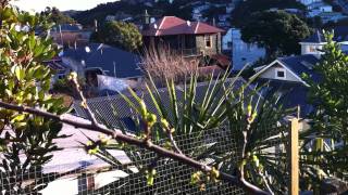 Nicks Garden In Early September 2011