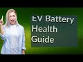 How do i check battery health on ev