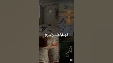 قرآن كريم بصوت جميل للقارئ عمر ضياء الدين #قرآن_كريم #عمر_ضياء_الدين