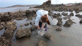 大货窜进大水塘被困，皮皮一把按住狂甩，没想到脚底下还有一条