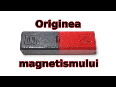 Video: Care sunt domeniile în magnetism?
