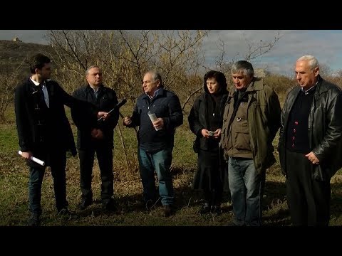 თხილის შეწამვლის დროა