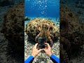 Under Water || My Fast Vlog 👋|| #shorts #viral #ytshorts #youtubeshorts #10mviews #kingrustak