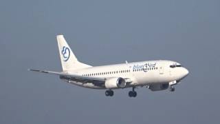 Blue Bird B737 - 300 Landing @ Budapest (Bud)