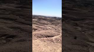 IMG 0724