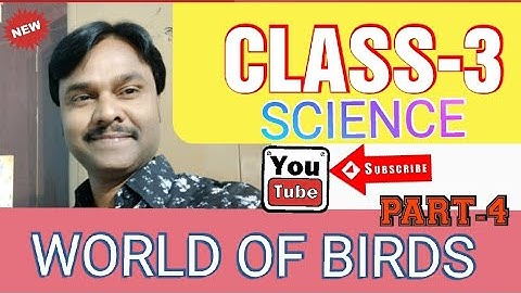 CLASS 3 SCIENCE | World of birds |Types of birds