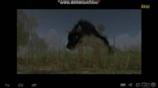Wolf online how to be a MINI WOLF [root]
