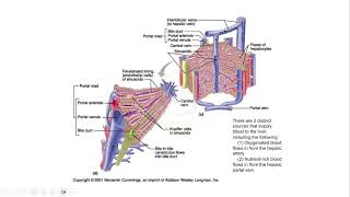 week 10 doubt session for NPTEL course of human physiology 31/03/2025