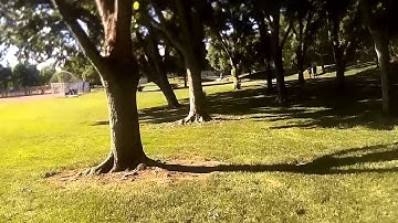 FPV Proximity Practice