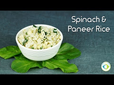 spinach-paneer-rice-|-8-months-baby-food-recipe-|-lunch--snack-box-recipe