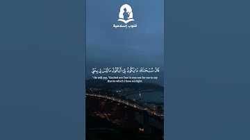 سورة المائدة - الاية 116 | محمد اللحيدان ❤