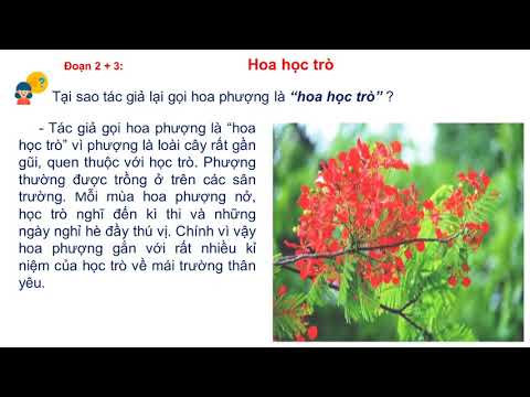 Video TẬP ĐỌC LỚP 4 - HOA HỌC TRÒ - GV TRẦN THỊ THU HÀ - TH... - youtube