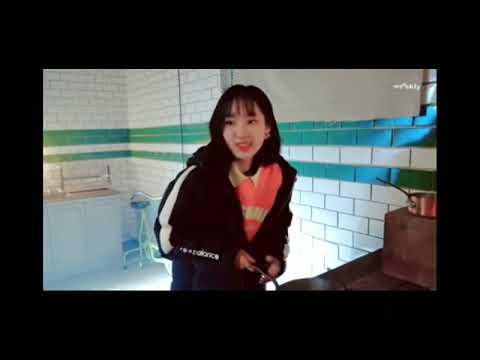 [위클리] 요리사 신지윤~👩‍🍳