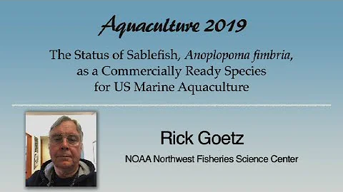 Rick Goetz: Sablefish, Anoplopoma fimbria, Aquacul...