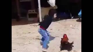 Download lagu Anak Kecil Berantem Sama Ayam Kocak Abis Anak Kecil Berantem Sama Ayam Kocak Abis