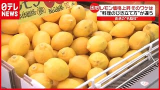 「レモン」にもコロナの影響？ “価格上昇”の理由とは（2021年4月8日放送「news every.」より）