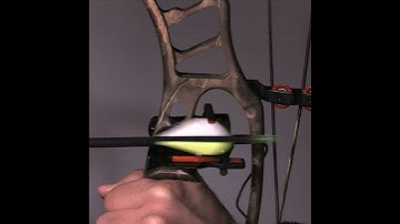 Ripcord Arrowrest on Hoyt Vector Turbo