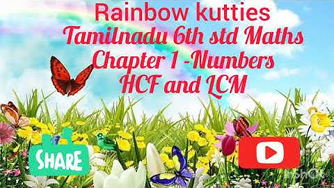 Samacheer Kalvi 6th std Maths Term 2 Chapter1 Numbers|LCM Introduction|Least common Multiple|LCM HCF