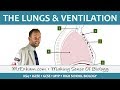 Lungs And Ventilation GCSE Biology 9 1 