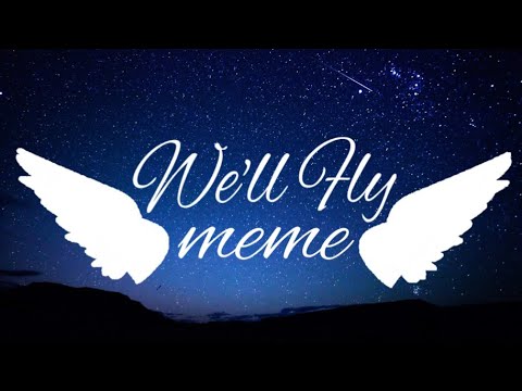 Видео: We'll Fly meme