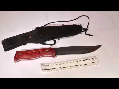 თემქაზე მომხდარი მკვლელობის ფაქტი ცხელ კვალზე გაიხსნა