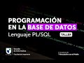 Taller online: Programación en la Base de Datos. Lenguaje PL/SQL, 3ra Clase