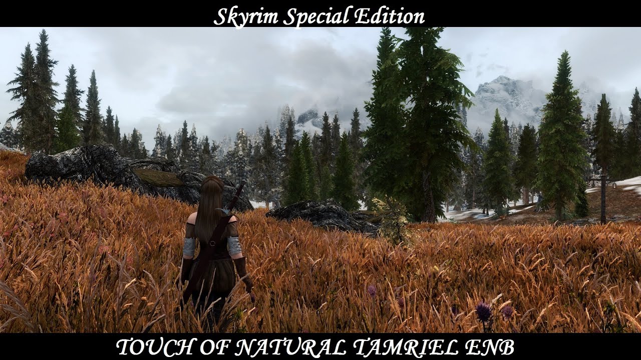 Skyrim SE - Touch of Natural Tamriel (TNT) ENB
