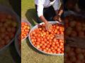 marking 100 litar tomato souce _ 100kg tamatar ki chatani