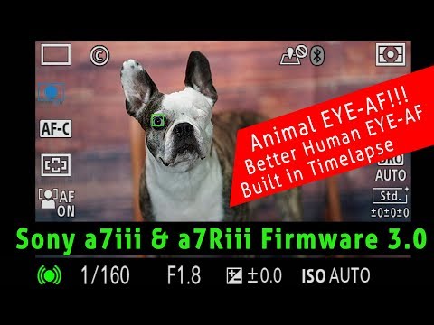 Sony a7iii and a7Riii Firmware 3.0 Tips and Tricks