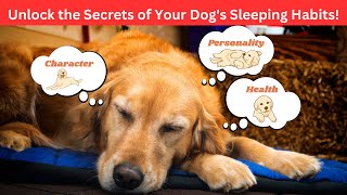 What Your Dog's Sleeping Position Reveals About Their Personality, Health and Character?