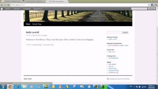 How to make Wordpress a Multisite CMS