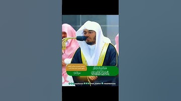 تلاوة من سورة البقرة للشيخ ياسر الدوسري من تراويح ليلة ٣ رمضان