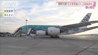 世界最大の旅客機で遊覧飛行　抽選倍率は35倍(2020年12月14日)