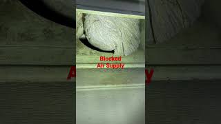Blocked Air Exchanger Supply Vent by Wasp Hive