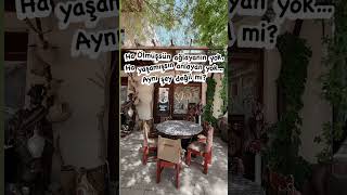 Ha Ölmüşsün Ağlayanın Yok Ha Yaşamışsın Anlayanın Yok