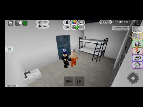 roblox brookhaven ქურდი და პოლიცია