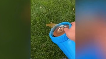 Aquasana Optimh2o water filter replacement