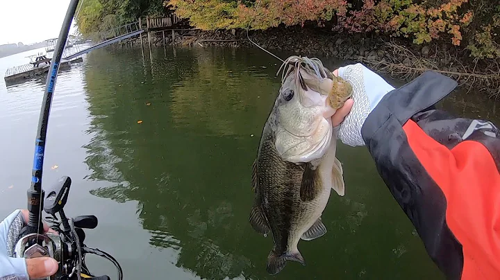 Find BASS Quick During The WINTER DRAWDOWN. Catchi...