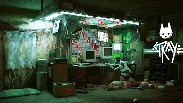 Fixing The Tracker | Stray | Cat Sim