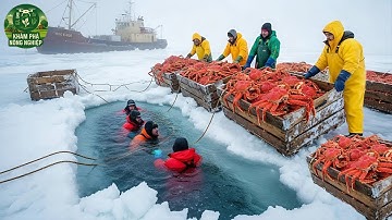 🦀 Cách Ngư Dân Alaska Khoan Xuyên Lớp Băng Dày 2,5 Mét Để Săn Cua Hoàng Đế Trị Giá 1,2 Triệu Đô!
