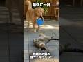 バケツ一撃の結末